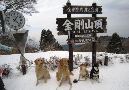 雪の金剛山、再び♪_c0171368_20154819.jpg