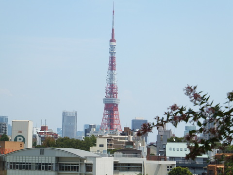東京タワー 絵を描きながら