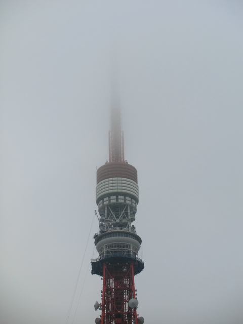 d0193569_8281425.jpg
