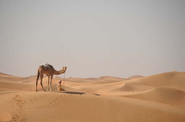 e0066474_202048.jpg