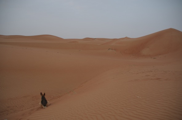 e0066474_2325972.jpg