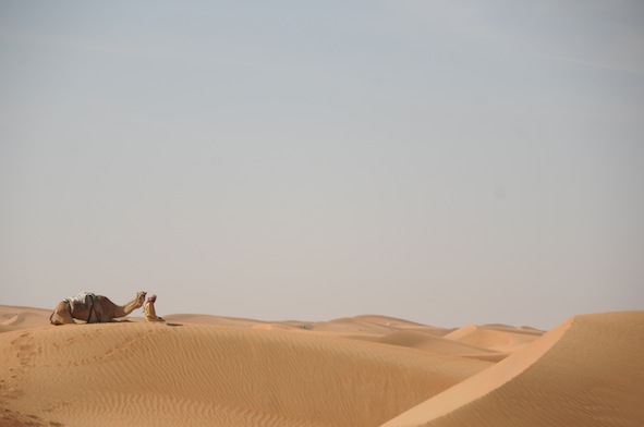 e0066474_3125633.jpg