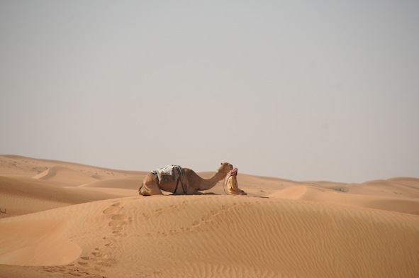 e0066474_3135030.jpg