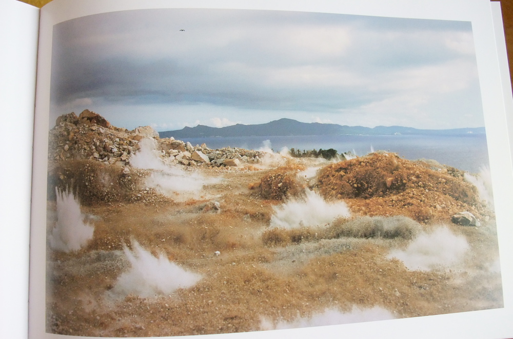 畠山直哉 Naoya Hatakeyama 「A BIRD－BLAST＃130