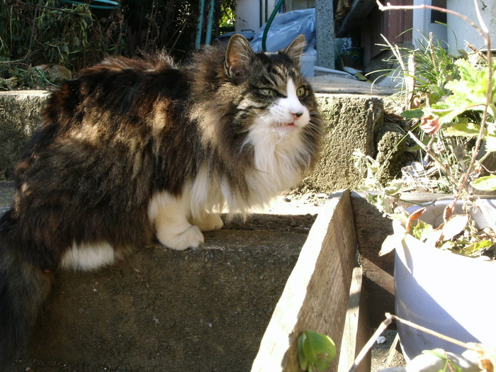 e0112077_7111122.jpg
