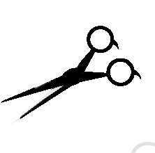 今日。_f0172281_631271.png