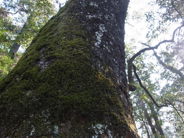c0113084_13474311.jpg