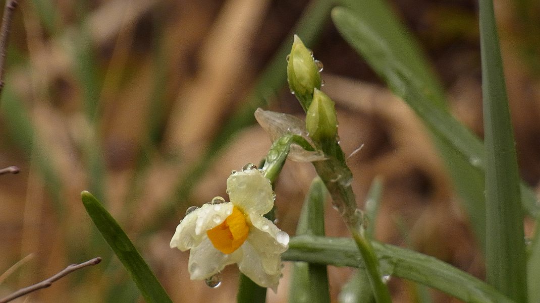 a0152692_18275218.jpg