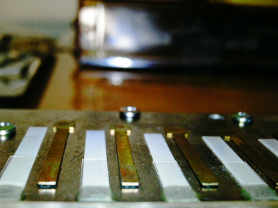a0009196_9591491.jpg