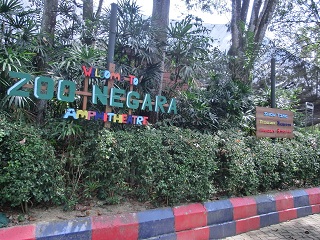 d0156797_22534562.jpg