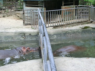 d0156797_22542719.jpg
