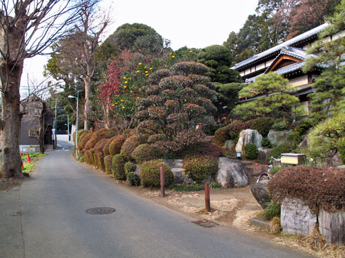 ほとんど痕跡のない、深大寺用水西堀上流部〜深大寺用水と入間川を紐解く(7)_c0163001_032912.jpg