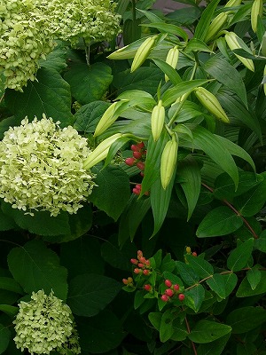 a0123003_1036265.jpg