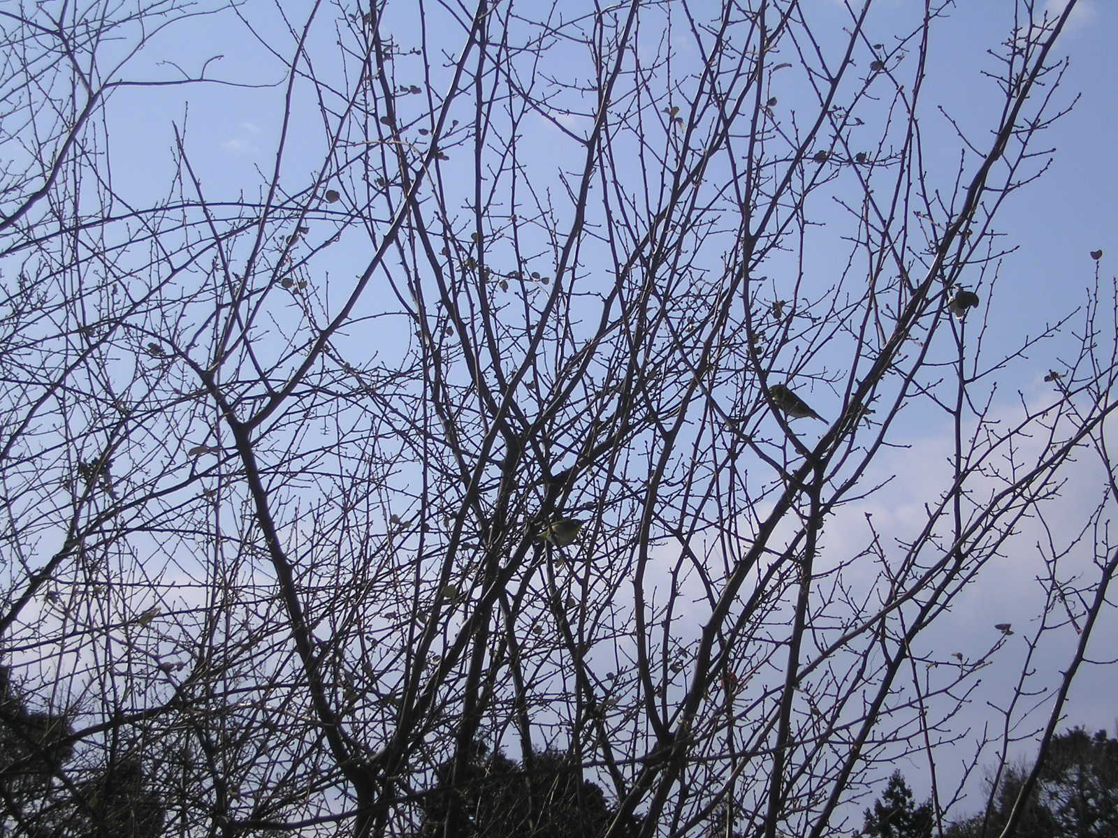 c0156104_002095.jpg