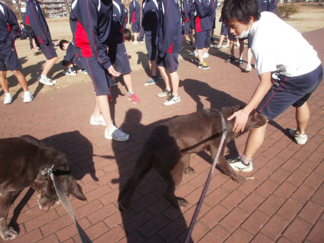 c0116610_18163774.jpg