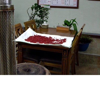 f0060310_7485414.jpg