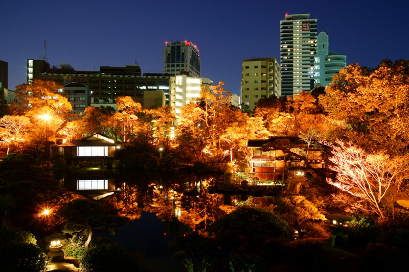 相楽園　冬のゆうべ庭園鑑賞会_e0177413_2042944.jpg