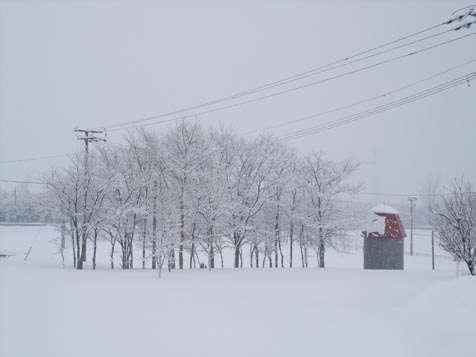 湿った雪_d0072917_1743656.jpg