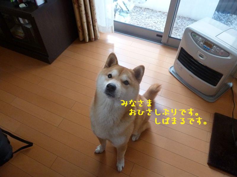 d0046821_10363319.jpg
