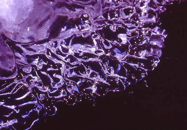 e0242721_8282834.jpg