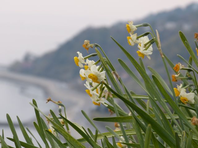 a0188023_811418.jpg