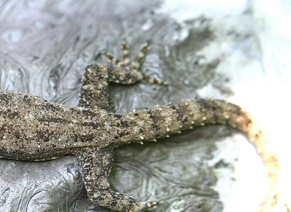 f0161823_536887.jpg