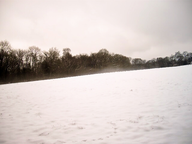 d0104926_62375.jpg