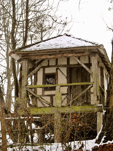 d0104926_66155.jpg