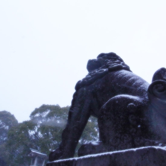b0147329_7102815.jpg