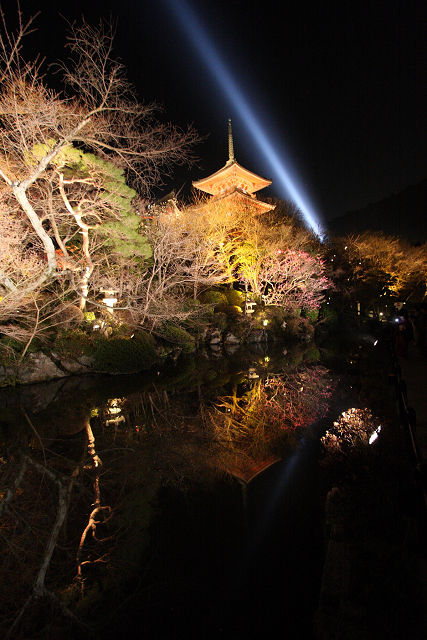 東山花灯路2009⑥ －清水寺－_b0169330_22522922.jpg