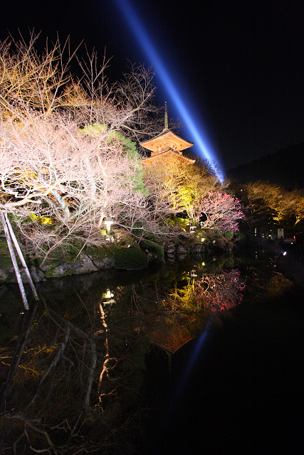 東山花灯路2009⑥ －清水寺－_b0169330_2252418.jpg