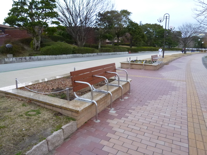 スタバ 大濠公園 2月7日冬空の寒い日_a0257440_23504510.jpg