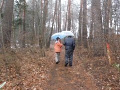 16年の謎が解けた日_f0019247_0412925.jpg