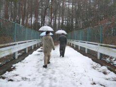 16年の謎が解けた日_f0019247_0415180.jpg