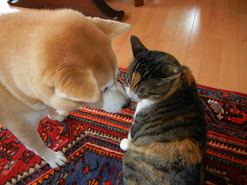 2012年2月7日(火)今日も水彩画だけど・・・_f0060461_11211236.jpg