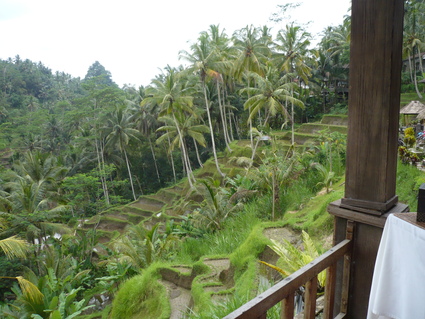 a0135562_1056436.jpg