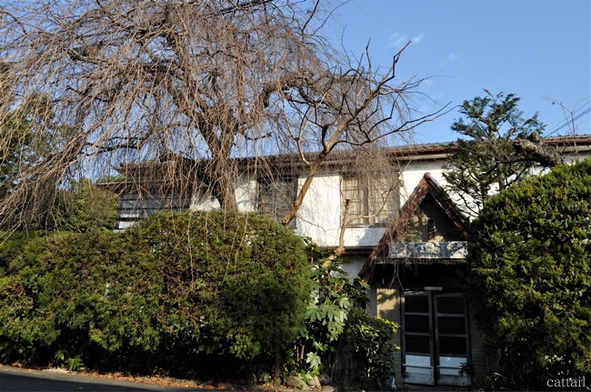 e0125762_112612.jpg