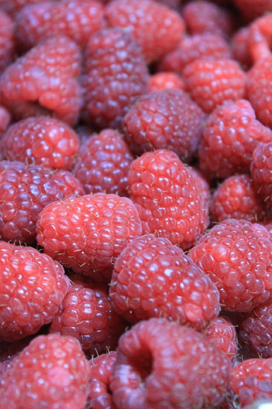 RASPBERRIES・FRAMBOISES_c0180971_9193978.jpg