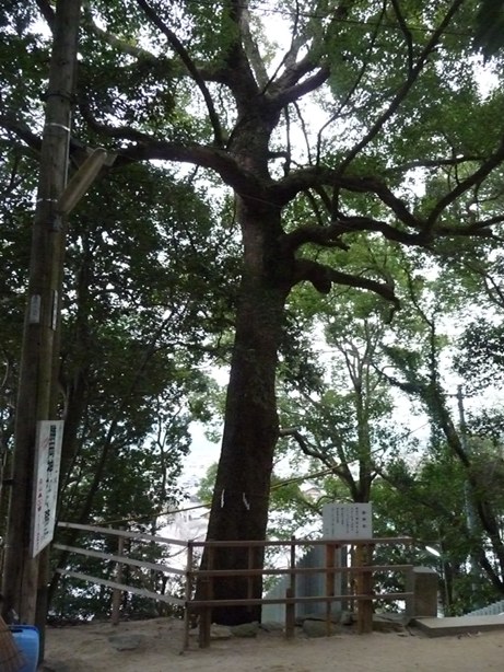 小千命の城（白人城）　「勝岡八幡神社」　（龍（光）の道）_e0165472_23162634.jpg