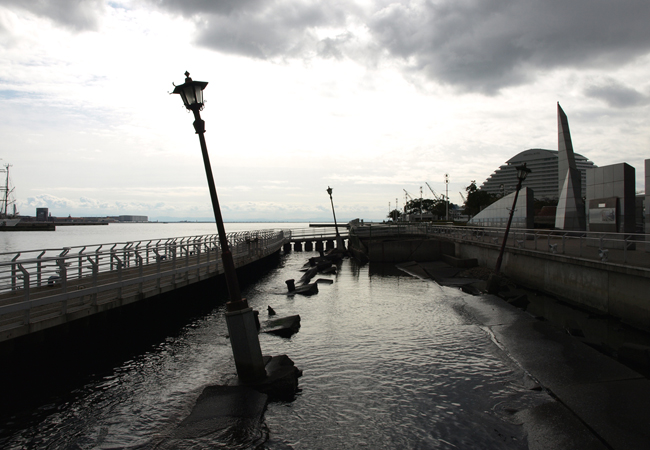 d0118876_11485.jpg