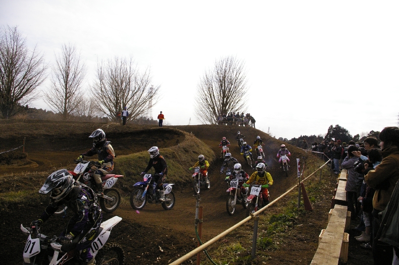 a0206678_2143115.jpg