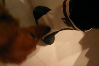 2012年2月7日 えへへ・・・_b0098584_2302228.jpg