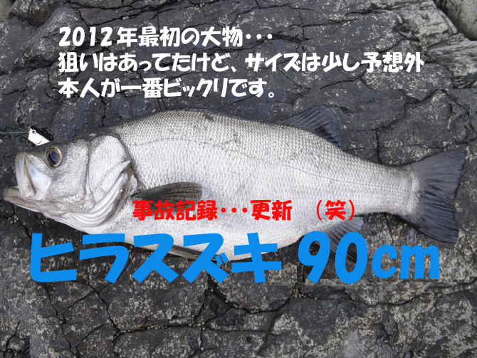 本土最西端の島 生月島 磯狂い モンスターサイズゲット くわがた散歩道