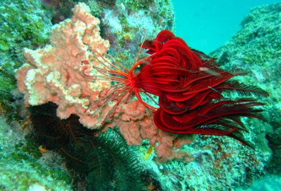 流れるラチャヤイ!_f0144385_196725.jpg