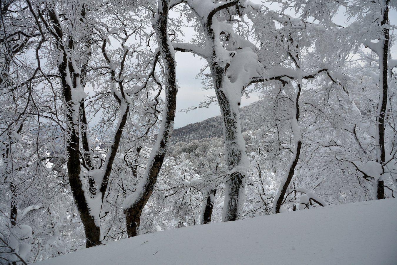 大山(弥山1709m)冬山4回目①_c0138991_01574.jpg