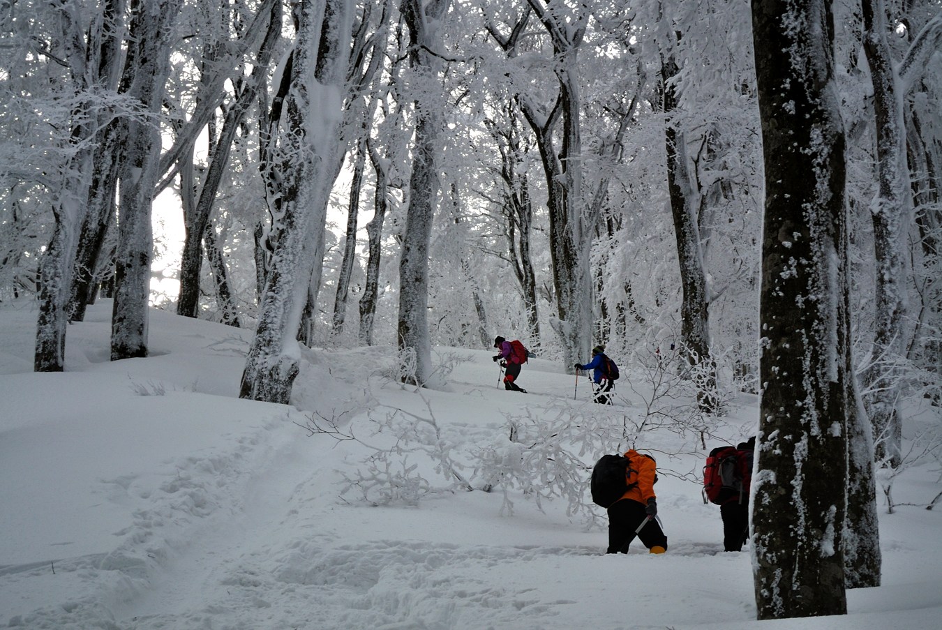 大山(弥山1709m)冬山4回目①_c0138991_018855.jpg