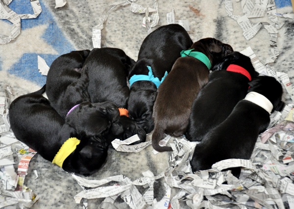 Genki\'s 2世 _f0176499_1463546.jpg