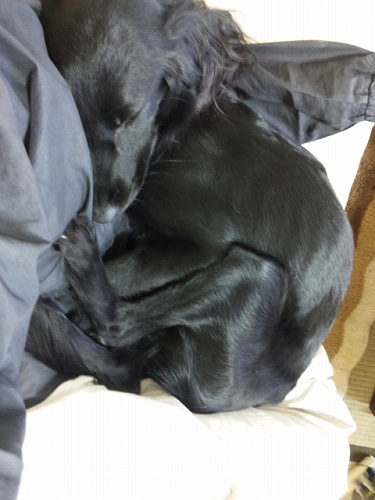 Genki\'s 2世 _f0176499_205715.jpg