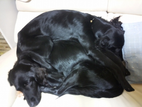 Genki\'s 2世 _f0176499_2191170.jpg