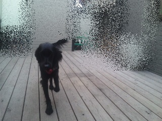 Genki\'s 2世 _f0176499_232692.jpg